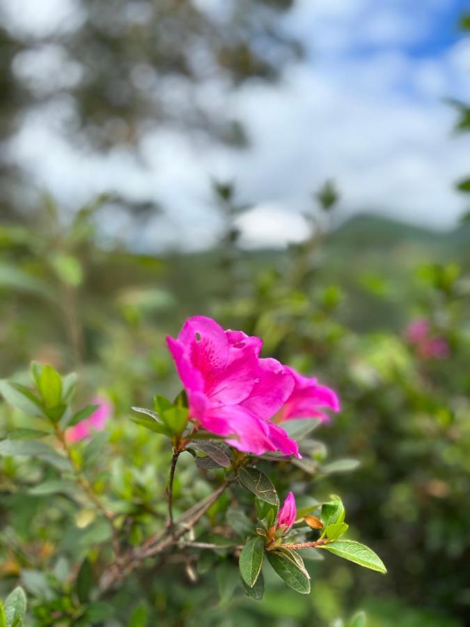 Casa De Campo Vizinha Da Lua Monte Verde  Kültér fotó