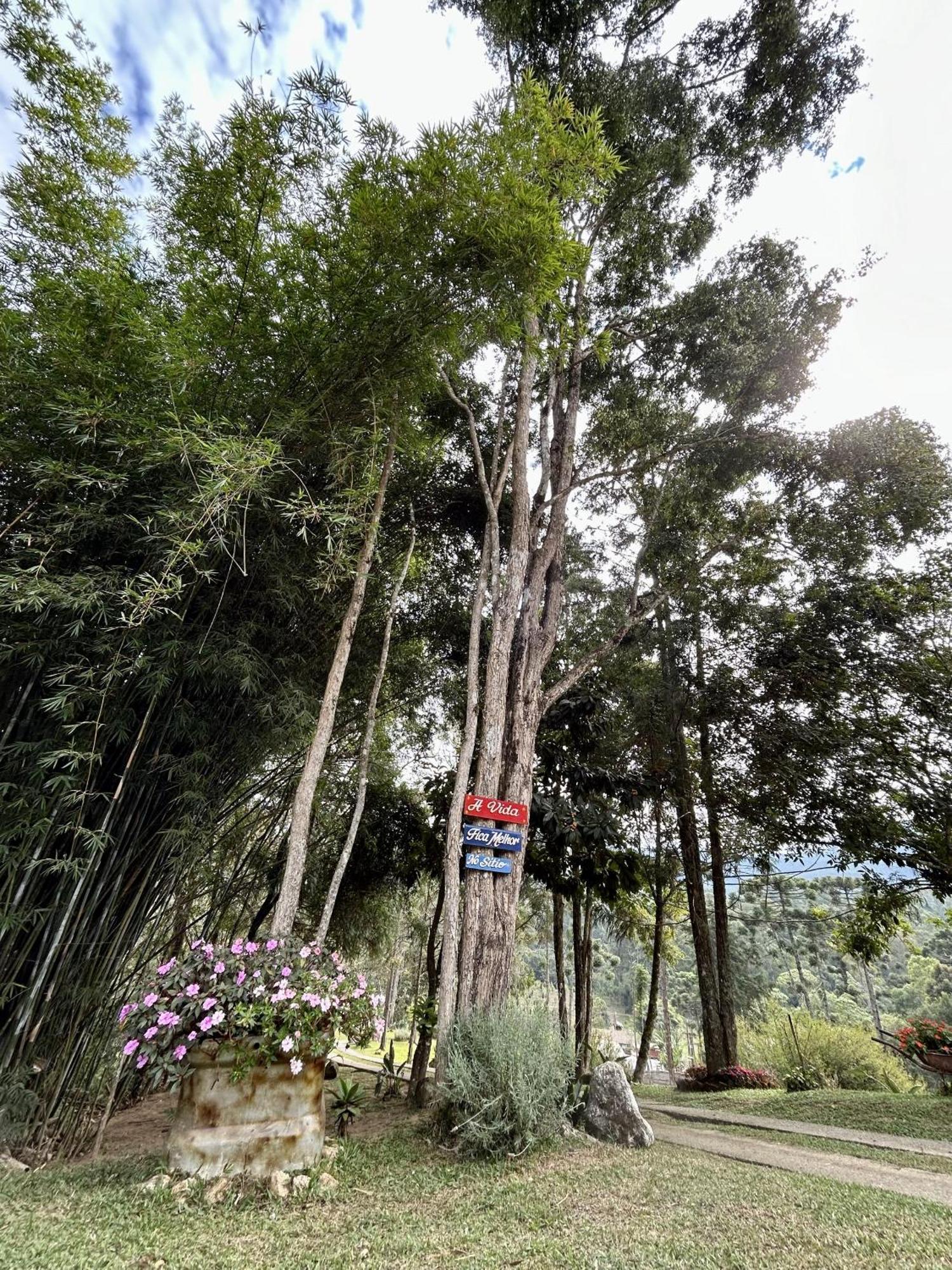 Casa De Campo Vizinha Da Lua Monte Verde  Kültér fotó