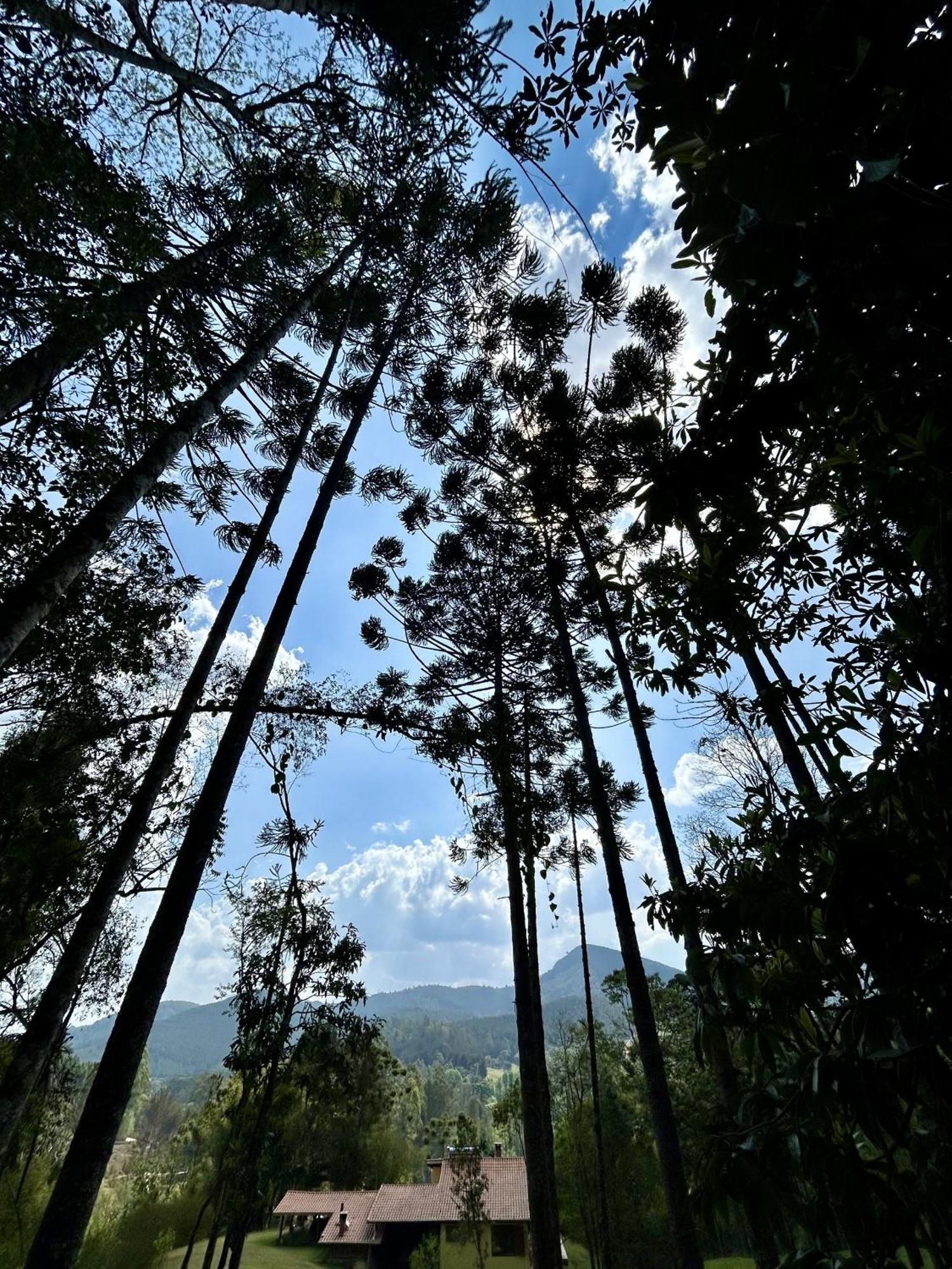 Casa De Campo Vizinha Da Lua Monte Verde  Kültér fotó
